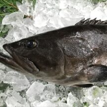 ホームページを公開しました。