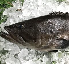 ホームページを公開しました。